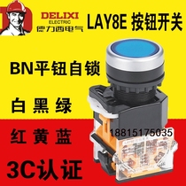 Delixi LAY8E-11BN flat button button 22mm button switch one open one closed red green blue and yellow