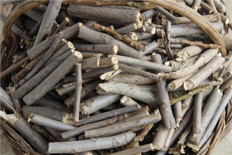 15年新货 大山野生山核桃树皮 新鲜树枝 胡桃楸子皮 青龙皮包邮