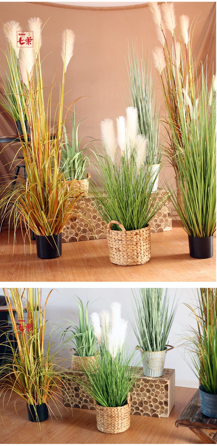 仿真芦苇草盆栽洋葱草大型植物落地家居客厅装饰仿真绿植