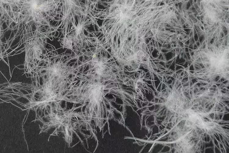 90白鹅绒冬被加大双人被贡缎防绒面料新婚被厂家**