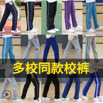 Children Sports Pants Straight Barrel Loose Summer Boy Deep Blue Tibetan Blue Elementary School Uniforms Pants Spring And Autumn