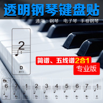 88-key Professional transparent piano Number Key Sticker 61 Electronic keyboard Keyboard Hand-rolled Piano key Sticker Staff Notation