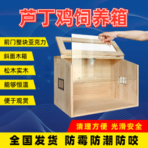 Ruddin chicken breeder parrot chicks insulation box hedgeHarden Harden heating pet box solid wooden box