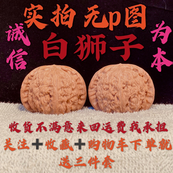 야생 삼각형 흰색 사자 머리, 문화 및 엔터테인먼트, 4 층 건물, 고품질 플랫 과일 호두 야생 삼각형 흰색 사자 머리, 문화 및 엔터테인먼트, 4 층 건물, 고품질 플랫 과일 호두