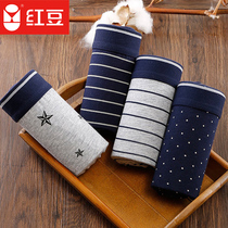 Red bean mens underwear pure cotton large size young mens boxer shorts Striped boxers trendy mens shorts head