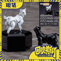 Spot GSC box mother chitocerium XXII-tanio alb atr White Cat Black Cat