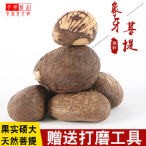 Ivory fruit Bodhi raw material Raw seed carving press a Buddha head three-way DIY white jade Bodhi child Buddha heart fruit Buddha beads