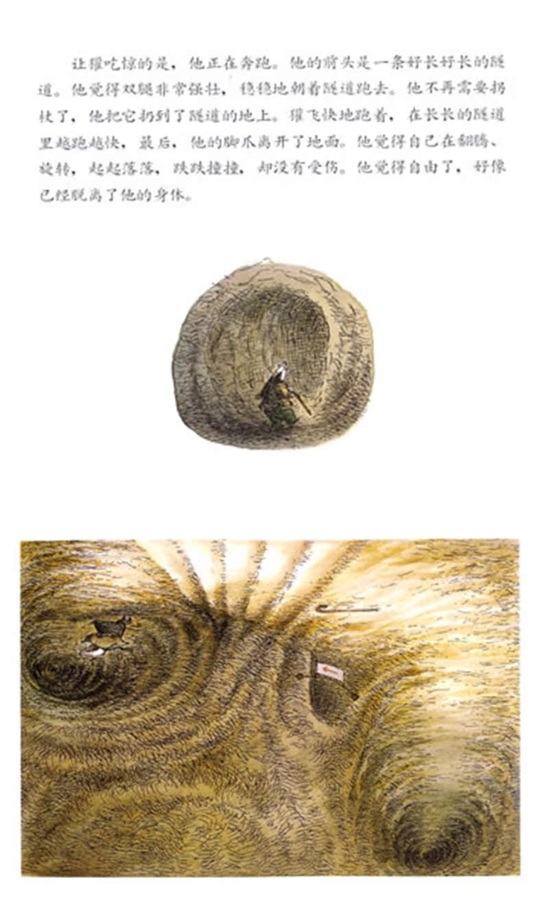 信谊绘本 獾的礼物 关于生命的温暖人心的故事_7折现价22.8元