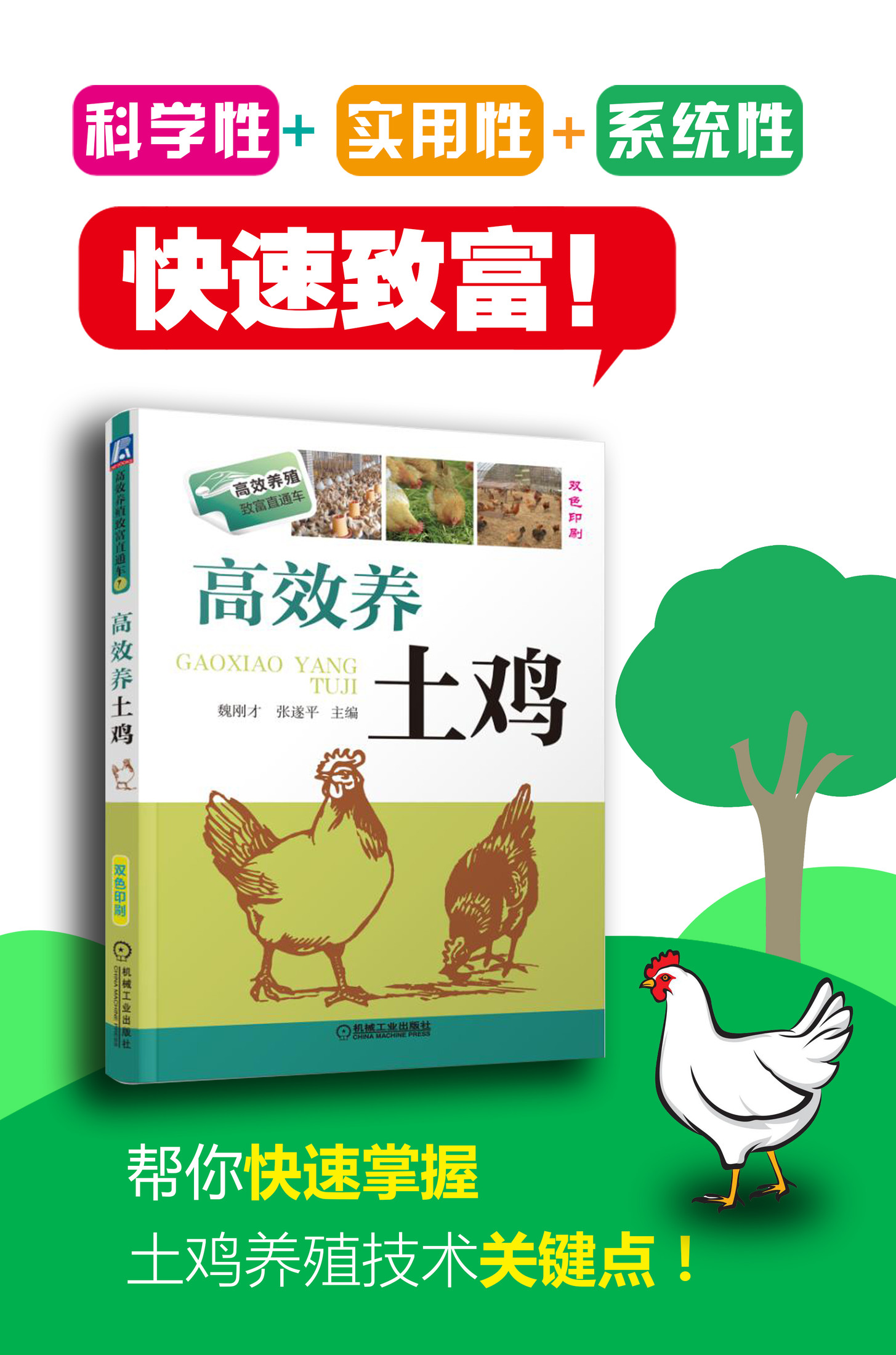 高xiao养土鸡 养鸡技术大全书籍 土鸡养殖技术教程 科学养鸡与鸡病