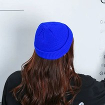 Klein Blue ins Knitted Wool Hat for Men and Women in Autumn and Winter Landlord Melon Skin Cold Hat Korean Tide Japanese Joker