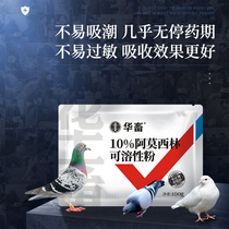 Chinese animal pigeon medicine Daquan meat pigeon amoxicillin soluble powder veterinary medicine pigeon racing pigeon breathing cold anti-inflammatory drugs