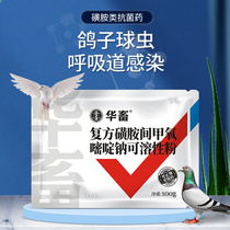 Chinese animal pigeon medicine compound sulfonamide pigeon pull blood stool racing pigeon medicine coccidia pigeons common disease Veterinary medicine