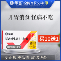 Hua animal veterinary drug compound vitamin B injection veterinary pig cattle sheep dog cat dog rabbit skin disease stomatitis