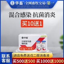 Ceftiofur Sodium for injection Veterinary medicine for pigs cattle sheep chickens cattle and sheep anti-inflammatory and anti-fever cold injection