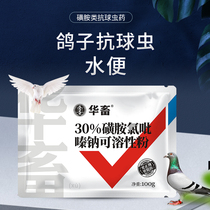 Chinese animal carrier pigeon meat pigeon with sulfa throat white spot racing pigeon respiratory coccidia special pigeon medicine common disease