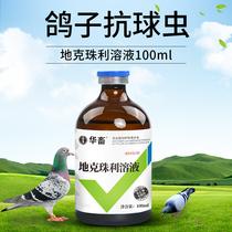Chinese animal pigeon Medicine collection of common diseases meat pigeon dikjuli anti-coccidia pigeon medicine pigeon racing pigeon bird Anthelmintics