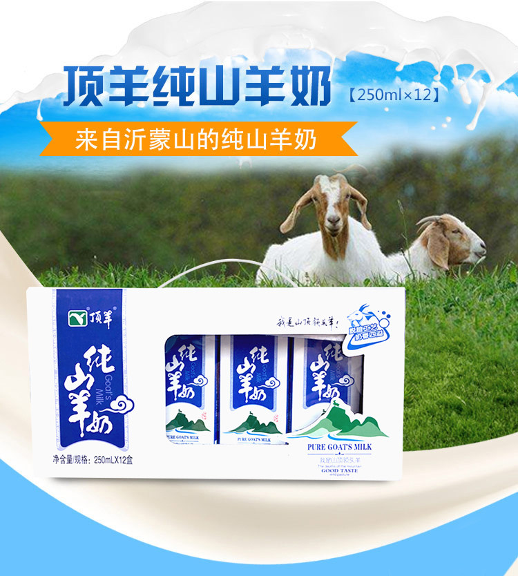 顶羊纯山羊奶羊奶脱膻羊奶蛋白鲜羊奶胜牛奶250ml*1