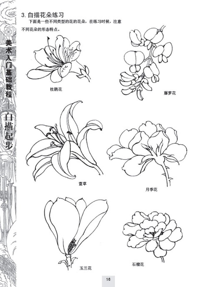 正版现货 美术入门基础教程--白描起步 张恒国著 白描画谱图谱画稿