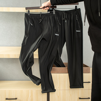 Company Channel 399R Summer New Ice Silk Quick Dry Technology Large Stretch Fabric Small Straight Sport Pants