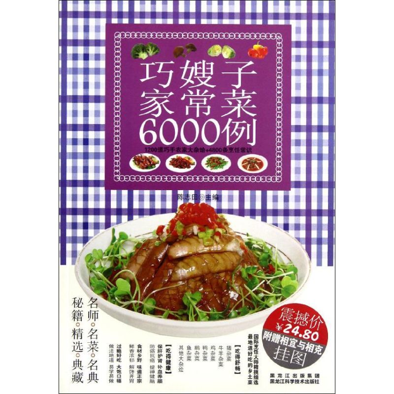 巧嫂子家常菜6000例 陳志田 編 著作 飲食營養 食療生活 新華書店