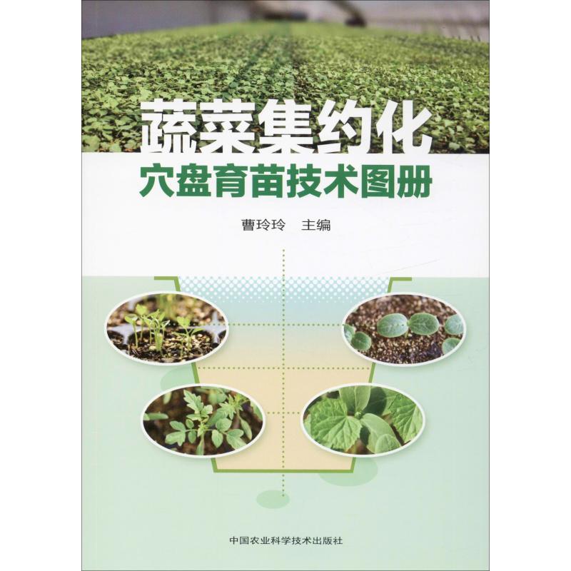 蔬菜集約化穴盤育苗技術圖冊 曹玲玲 編 農業基礎科學專業科技 新