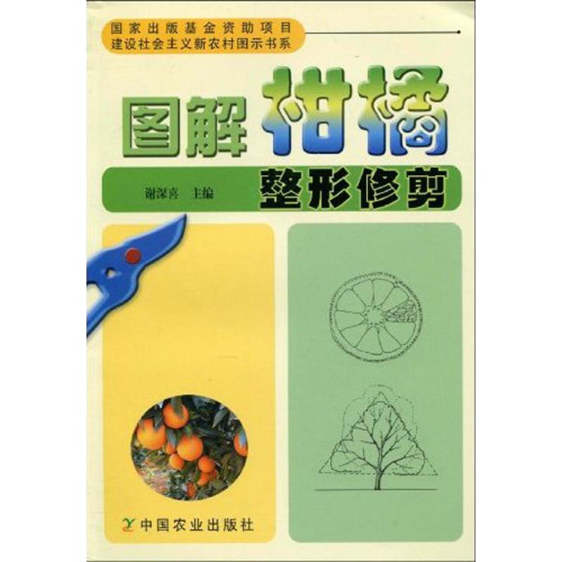 圖解柑橘整形修剪/建設社會主義新農村圖示書繫 謝深喜 主編 農業