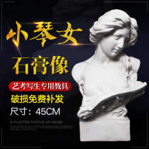 Bai Painting art Xiaoqin female plaster figure head sculpture Plaster statue Still life sketch sketching art teaching aids Painting materials