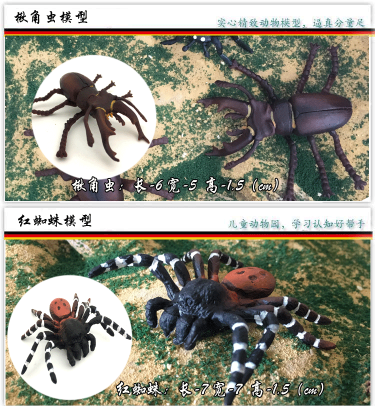 v蜻蜓蜻蜓蜘蛛儿童昆虫蚱蜢玩具蝴蝶独角仙蜗牛草蜢模型螳螂蜜蜂_7折动物兔卡补办图片