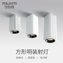 Proti led ceiling ceiling single head spotlight cob downlight coricree living room without main light lighting