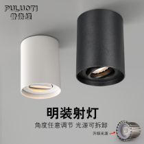 Plotty led spot light Surface mounted ceiling type l Living room ceiling corridor aisle downlight cob spotlight anti-glare