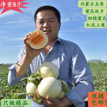 Inner Mongolia sweet red jade cantaloupe fresh melon and fruit Seasonal whole box seasonal reticulated melon sweet melon 2 8 kg