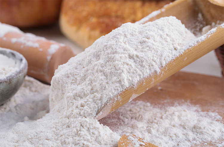 河套农家面粉自种自磨小麦白面粉做馒头面条饺子粉无添加8斤装