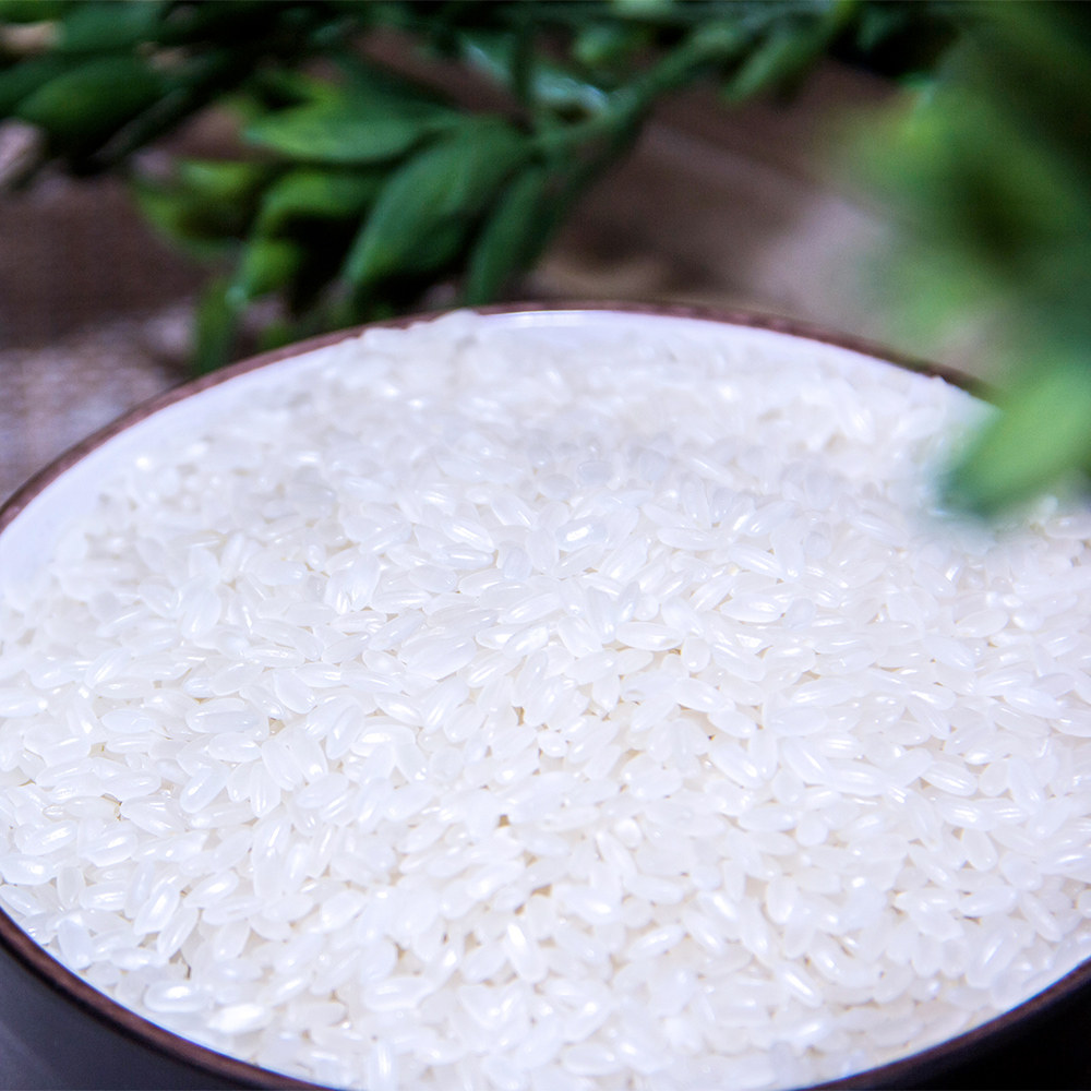 十月稻田 长粒香大米 东北大米500g