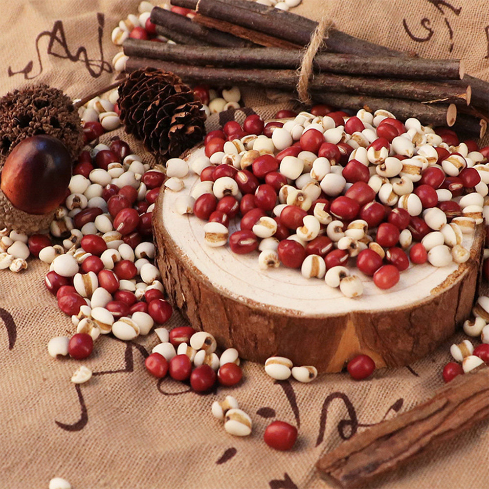 十月稻田 红豆薏米五谷杂粮粥组合农家红豆薏米小薏仁米1000g包邮