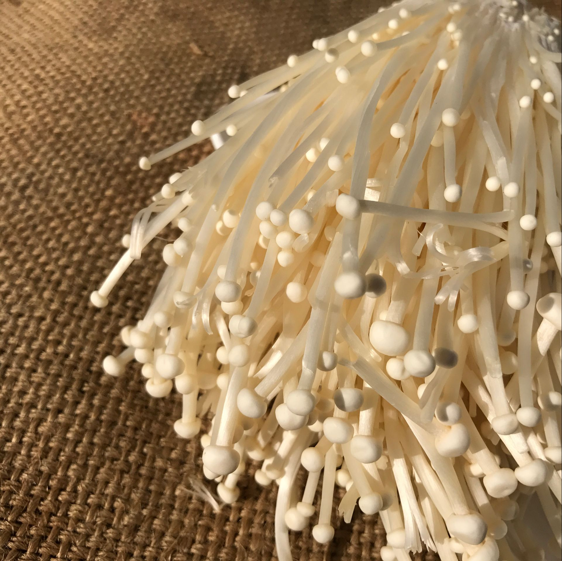 enoki mushrooms, fresh farm mushrooms, vegetables, mushrooms, hot pot ingredients, soup, stir-fry, natural fresh 300g