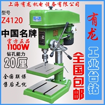 Shanghai Youlong Z4120 16MM bench drill 20MM industrial grade high power bench drill drilling and milling machine high stroke 200