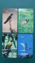 Singapore bird phone cards 4