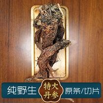 Extra large Gansu pure wild Salvia miltiorrhiza Chinese herbal medicine 500g authentic special grade whole old purple Danshen powder bubble natural