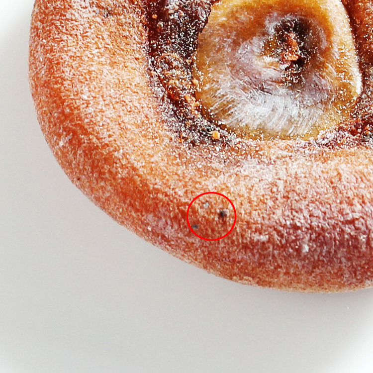 柿饼果肉有少许黑色点是果肉转化成糖时留下的,并不是发霉变质了.