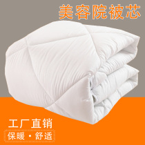 Beauty salon quilt massage foot bath Health Club quilt beauty salon special quilt spring and autumn winter quilt