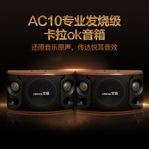Ai Sing AC-10 professional audiophile karaoke speaker Home KTV audio 10 inch KTV private room card package speaker