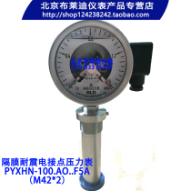 Diaphragm shock-resistant electric contact pressure gauge PYXHN-100 AO F5A M42 * 2 order