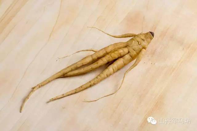 山丹特色美味——蜜汁黄参