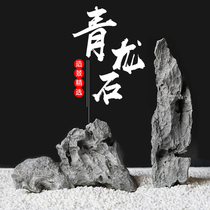 Qinglong Stone Tree Bouldering Bonsai Plant attached stone Stone Calamus grass attached tree stone Rockery landscaping Natural rough stone decoration