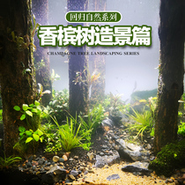Fish tank landscaping Sink wood tree Forest Champagne trunk Wood Water grass landscaping Stump skeleton Small large natural climbing pet