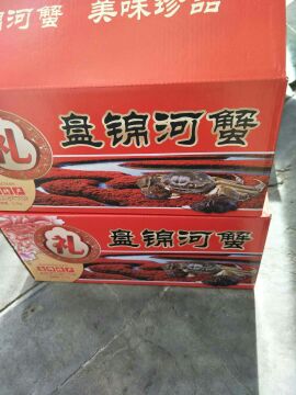 盘锦河蟹(1两母)5斤起卖螃蟹母食谱v河蟹多大都有夏日西红柿礼盒图片