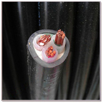 The ZRYJV VV3 * 16 squared national standard pure copper three-core power hard cable in Hangzhou
