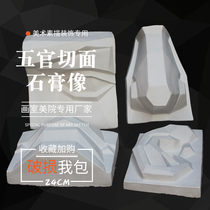 Gypsum facial features model facets Art supplies Gypsum image teaching aids Facial features Gypsum image Nose eyes ears ornaments