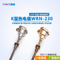 Industrial high temperature resistant armored thermocouple k type probe pt100 thermal resistance temperature sensor wrnk-230