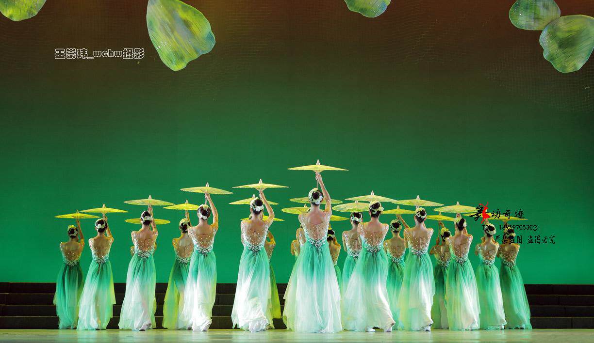 古典舞演出服女2020新款东方歌舞团茉莉花开舞蹈服装中国风伞舞